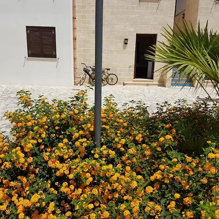 Trilocale Maestrale *